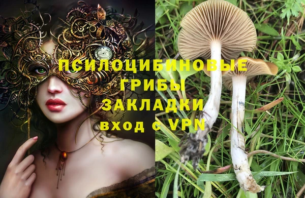 не бодяженный Абдулино