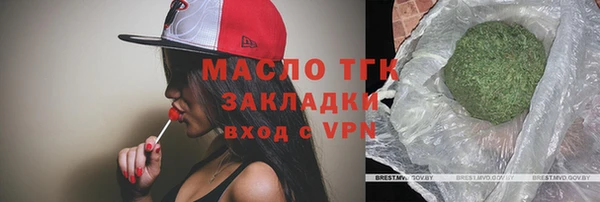 гидра Абаза