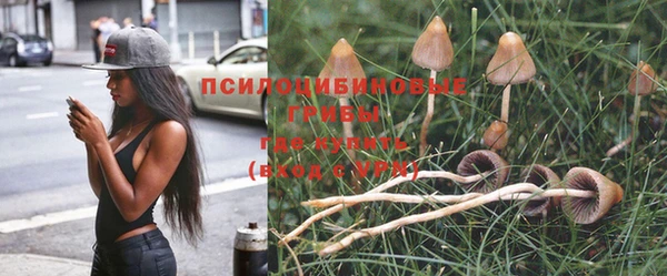 spice Алексеевка