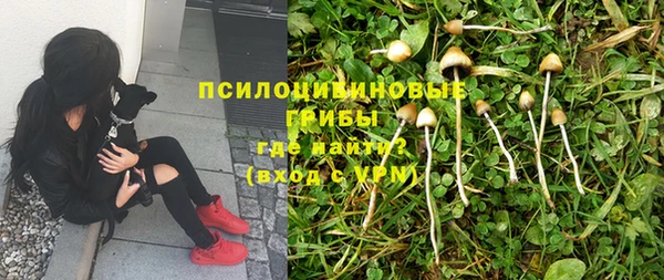 spice Алексеевка