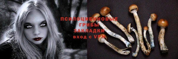 мяу мяу мука Алексин