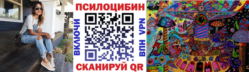 Псилоцибиновые грибы Psilocybe  blacksprut вход  Ладушкин 